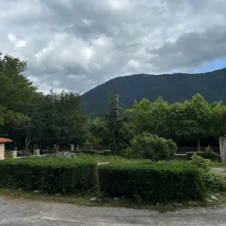 Affittacamere Teloni 3*